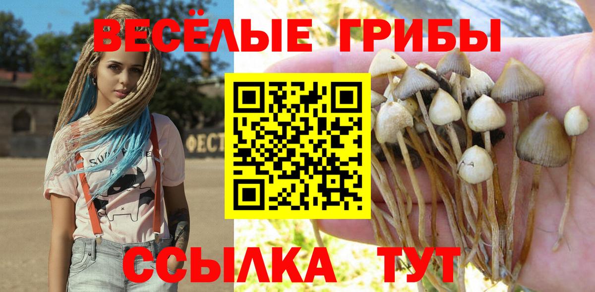 Меф Кинель