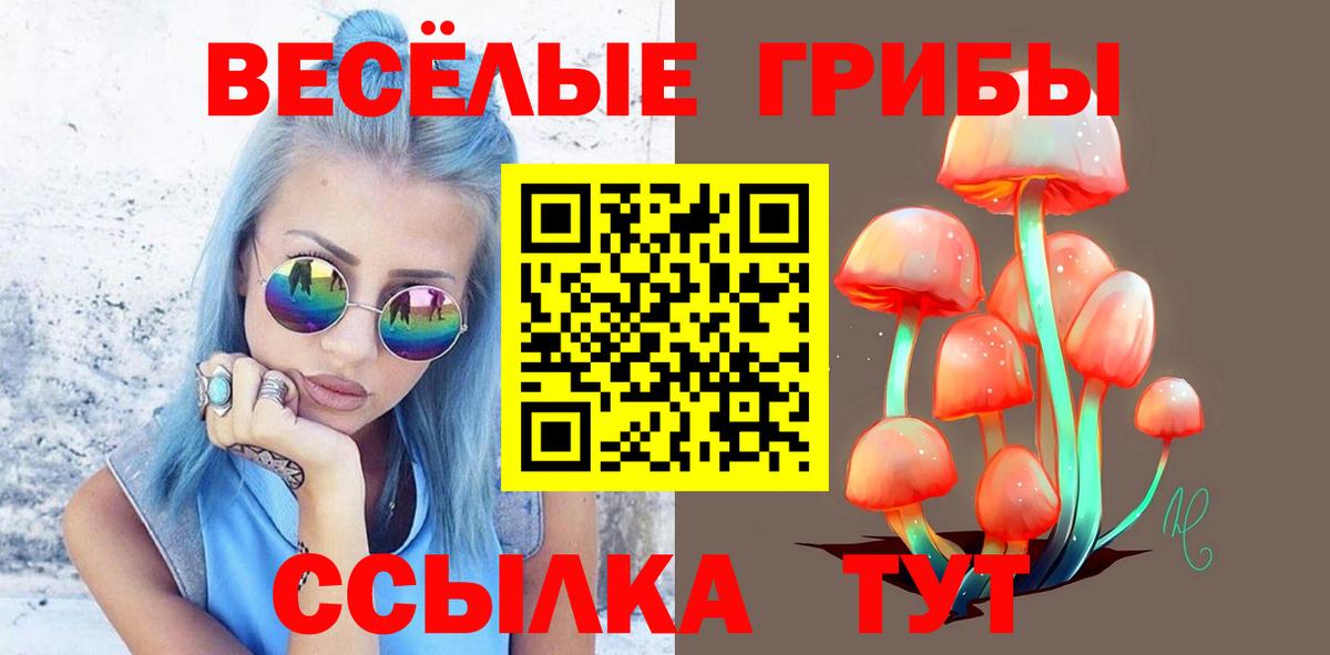 Кинель  Псилоцибиновые грибы Psilocybine cubensis  Псилоцибиновые грибы прущие грибы  Вход с VPN 